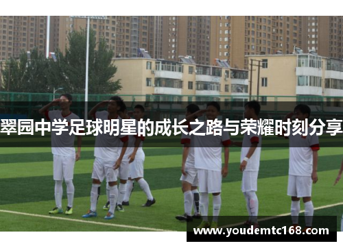 翠园中学足球明星的成长之路与荣耀时刻分享