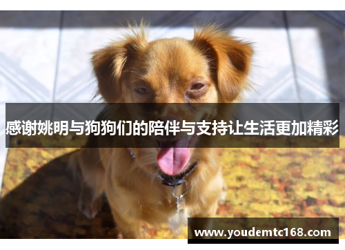 感谢姚明与狗狗们的陪伴与支持让生活更加精彩